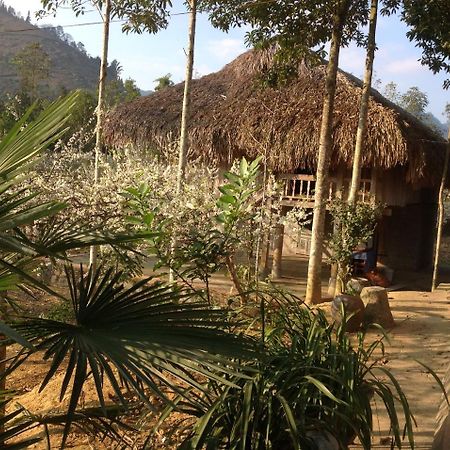 Sa House Bac Ha Bac Hà Exterior foto
