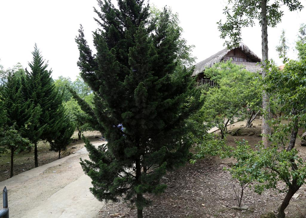 Sa House Bac Ha Bac Hà Exterior foto