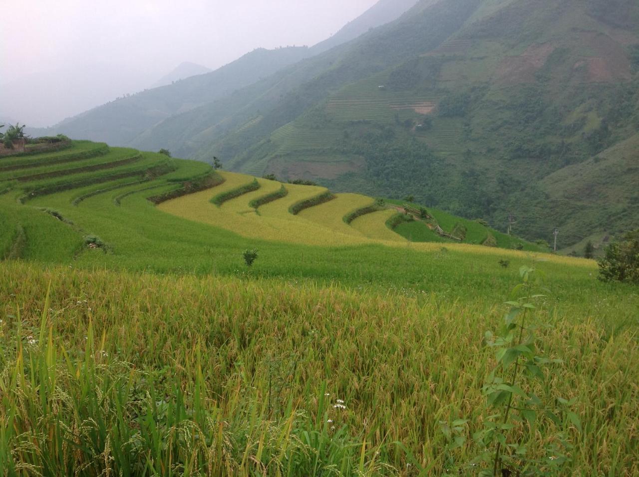 Sa House Bac Ha Bac Hà Exterior foto