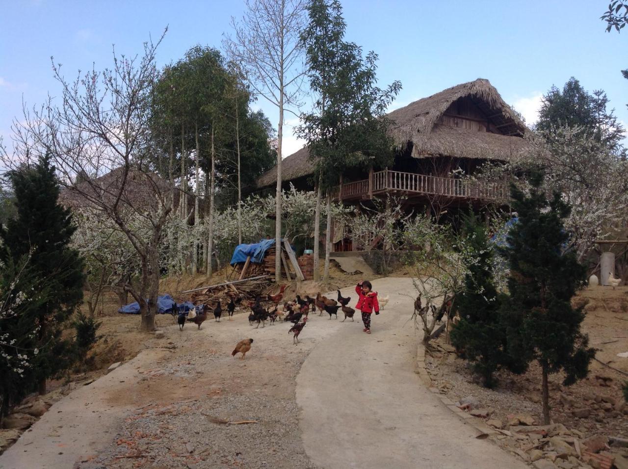 Sa House Bac Ha Bac Hà Exterior foto